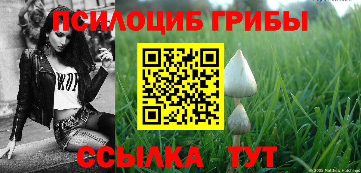 закладки  Вход с VPN  Арсеньев  Галлюциногенные грибы MAGIC MUSHROOMS 
